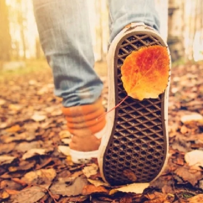 ДВИЖЕМСЯ В ОСЕНЬ 🍁🍂. ЗДРАВСТВУЙ ОКТЯБРЬ icon