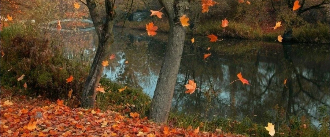 ДВИЖЕМСЯ В ОСЕНЬ 🍁🍂. ЗДРАВСТВУЙ ОКТЯБРЬ logo
