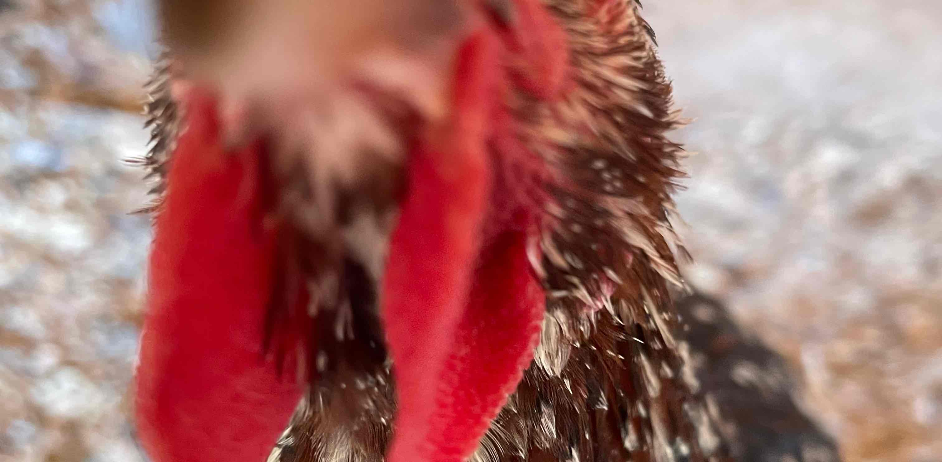 challenge background