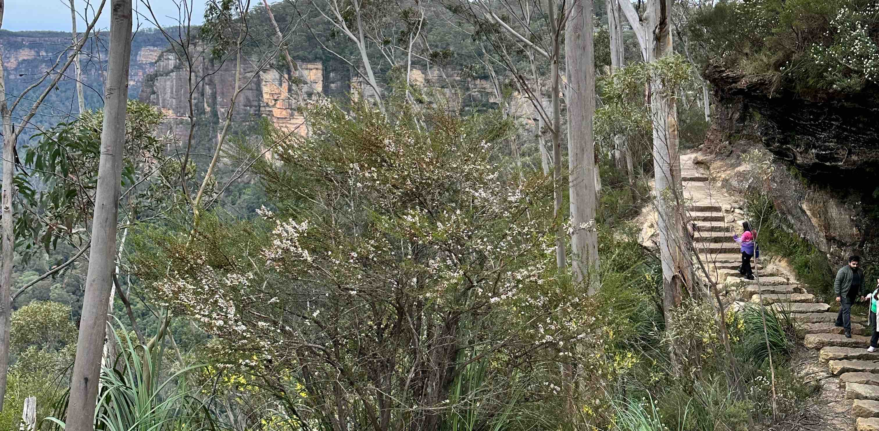 challenge background