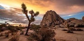 challenge background