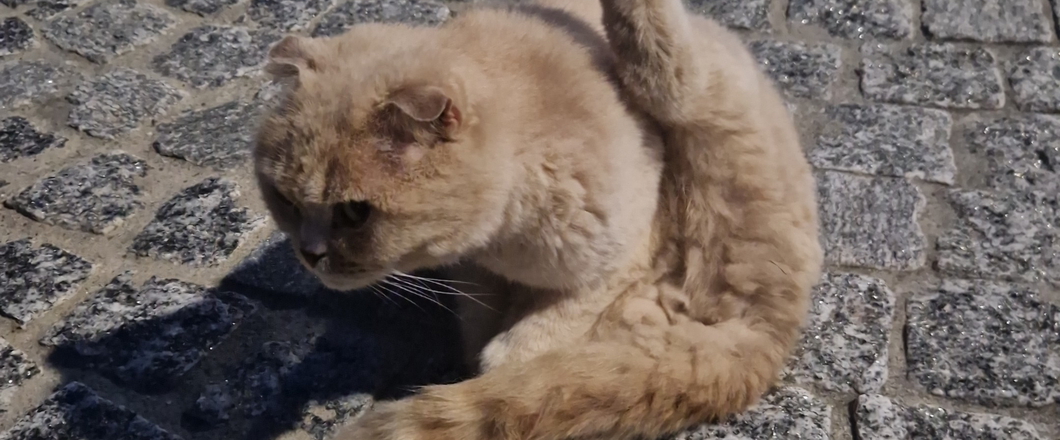 challenge background