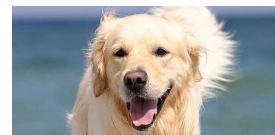 challenge background