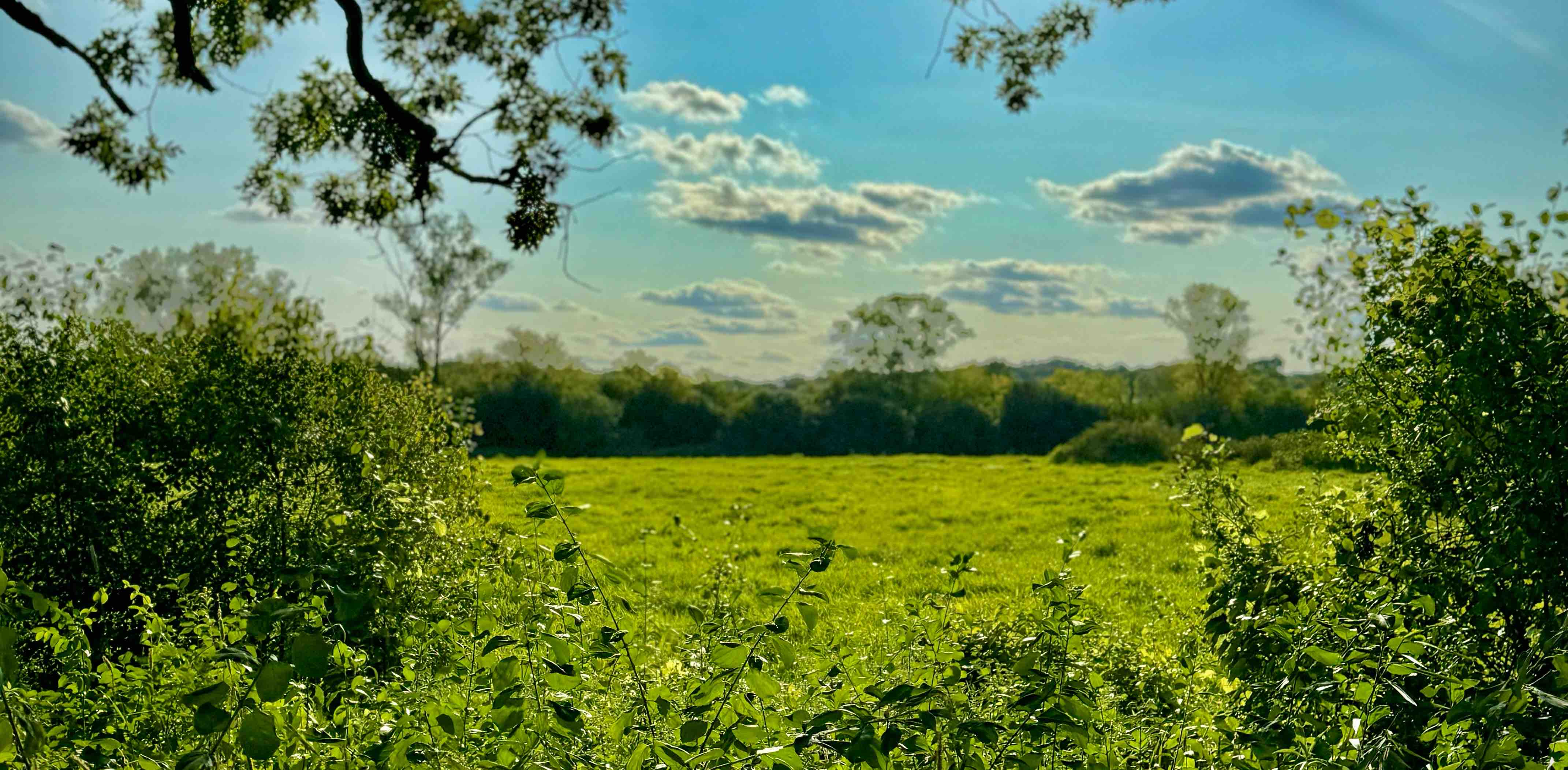 challenge background