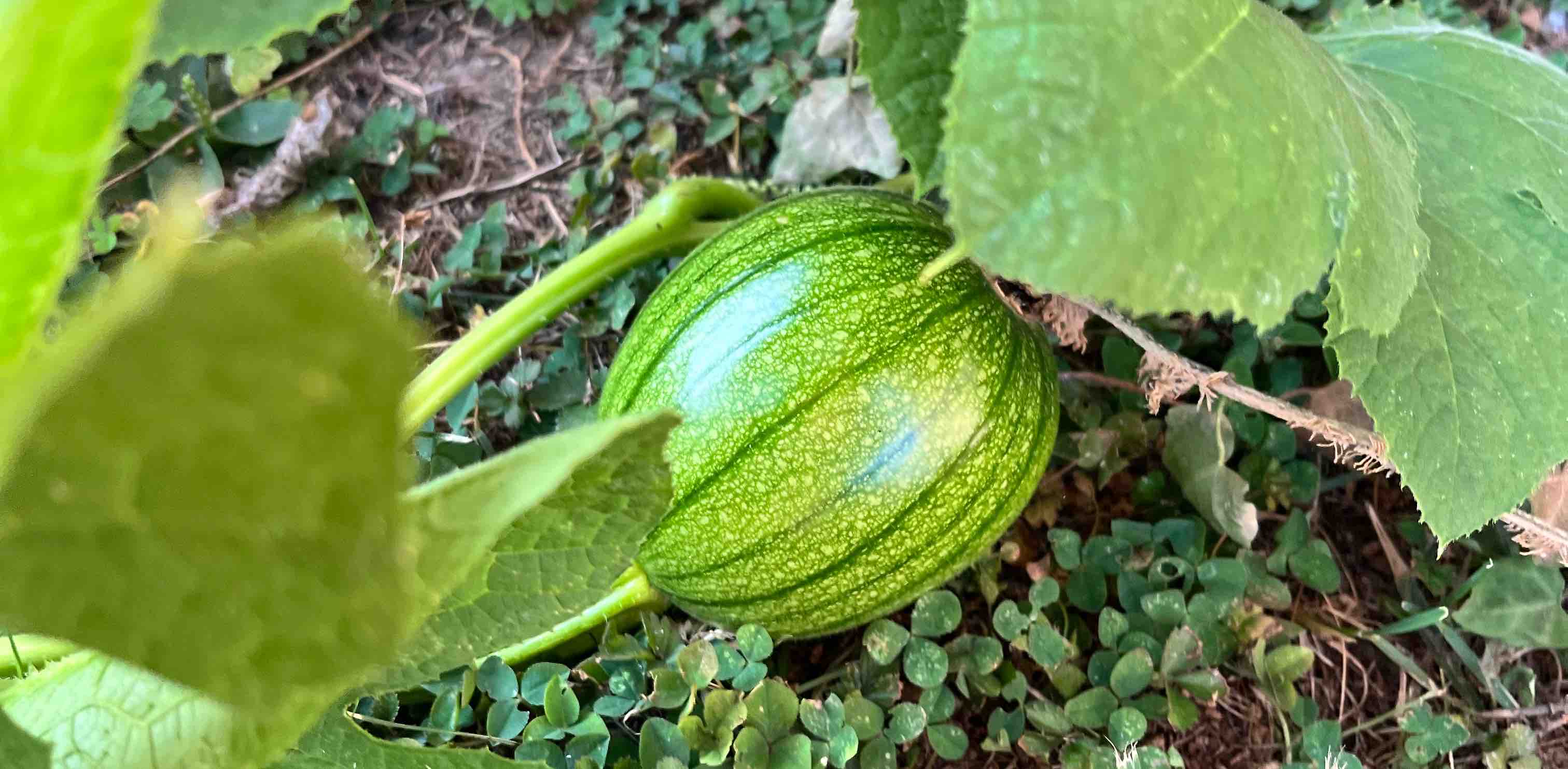 challenge background