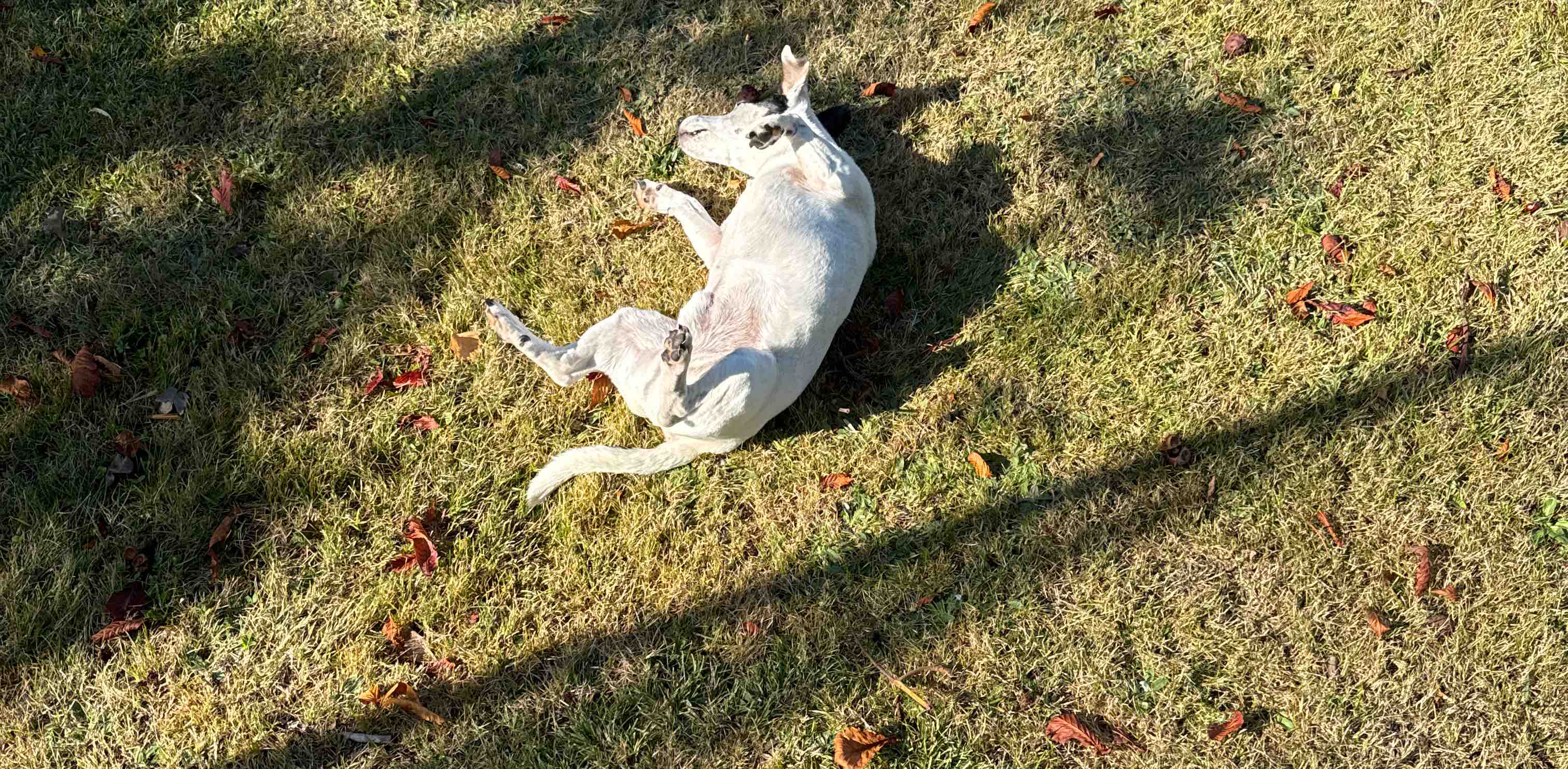 challenge background