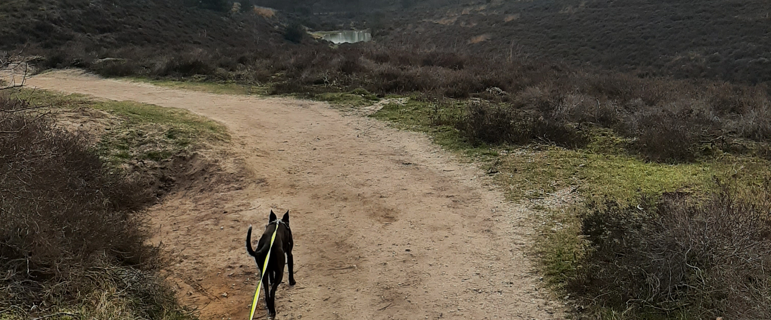 challenge background