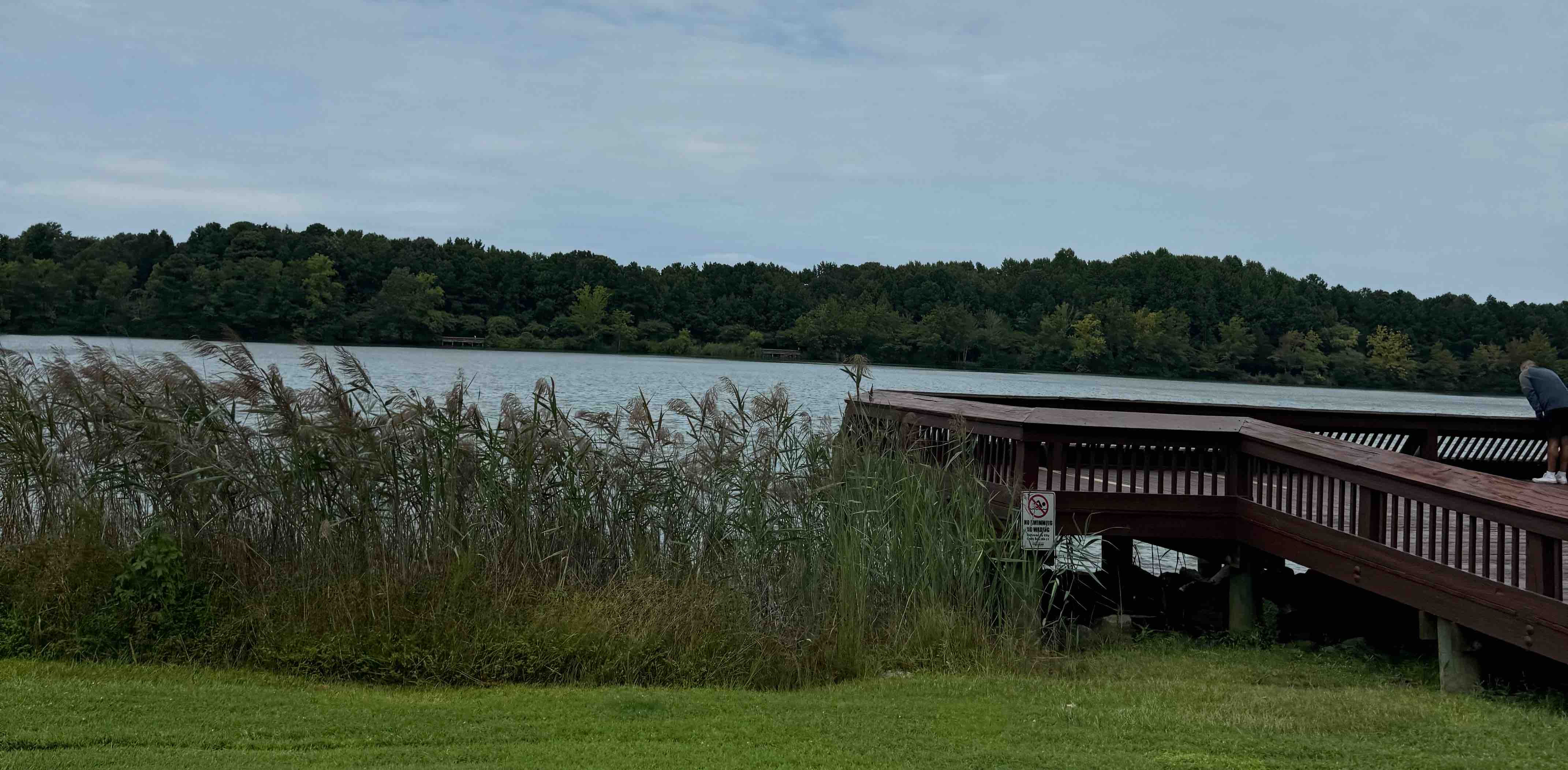 challenge background