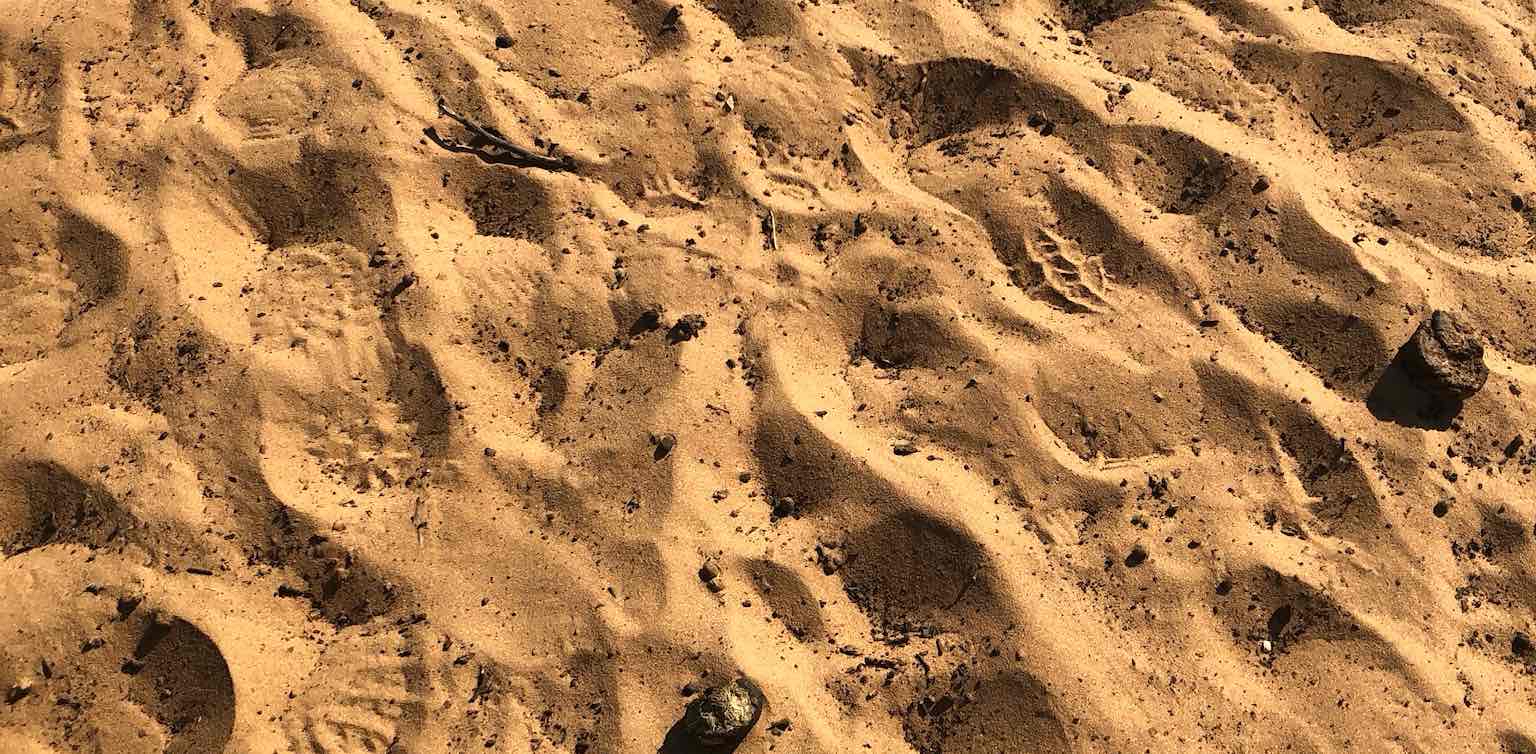 challenge background