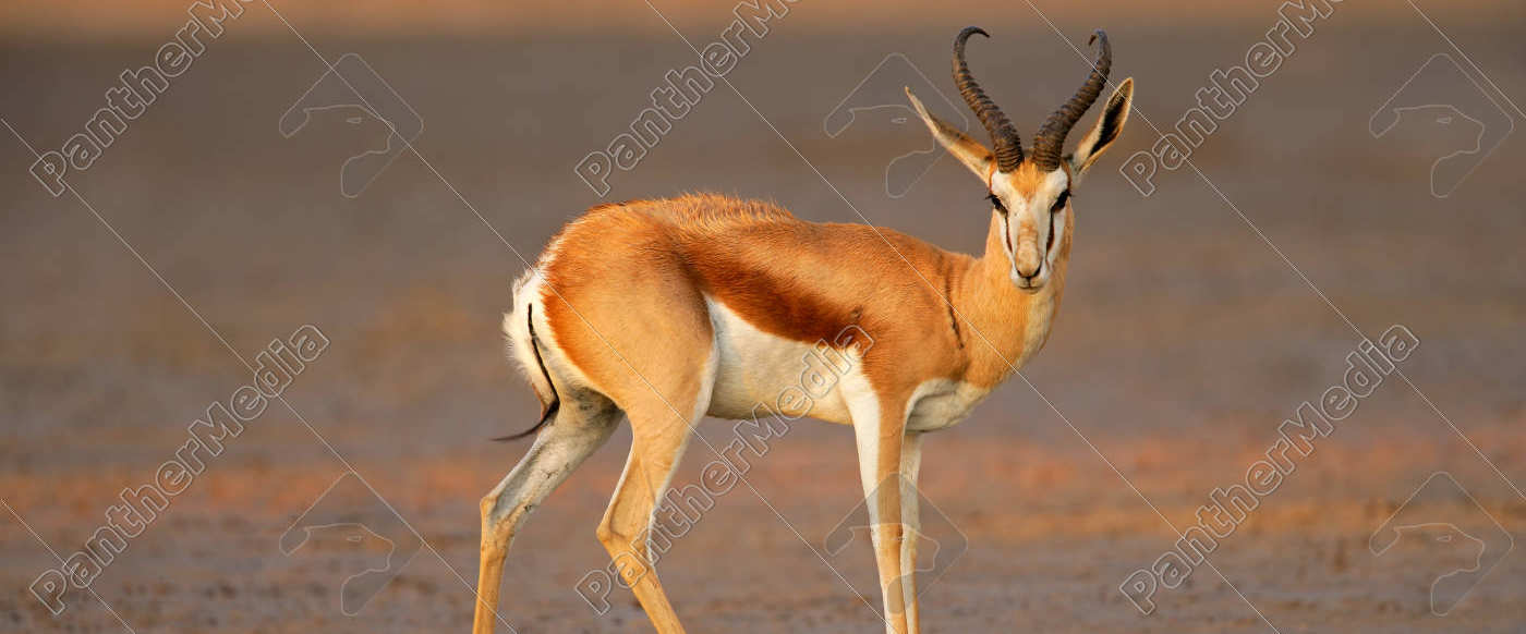 challenge background