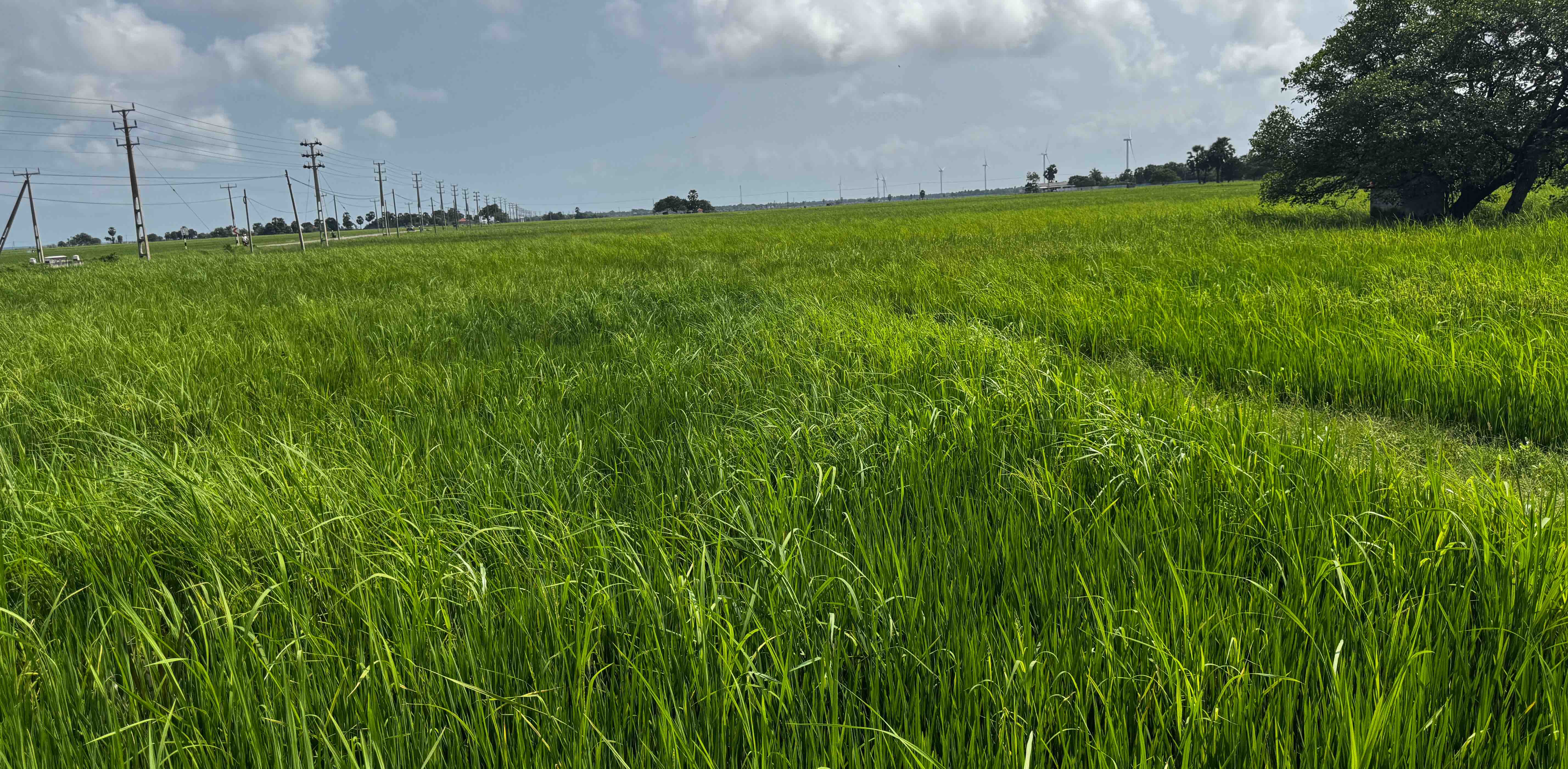 challenge background