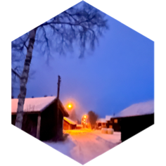 Daily 7000 steps Challenge icon