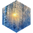 January Group Step Goal Challenge icon