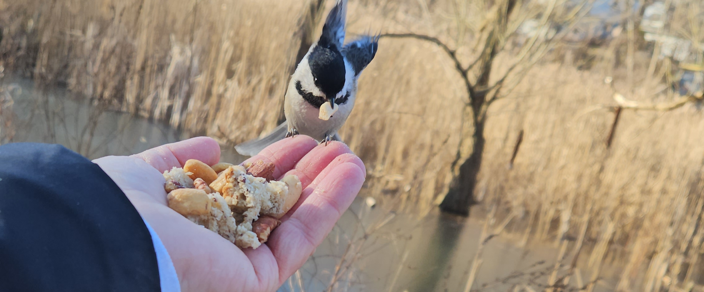 challenge background