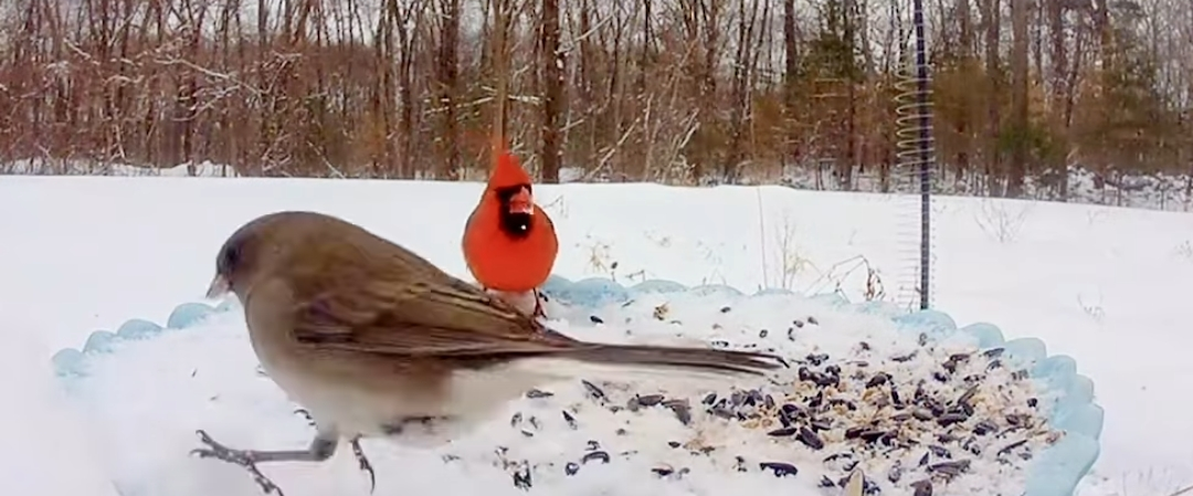 challenge background