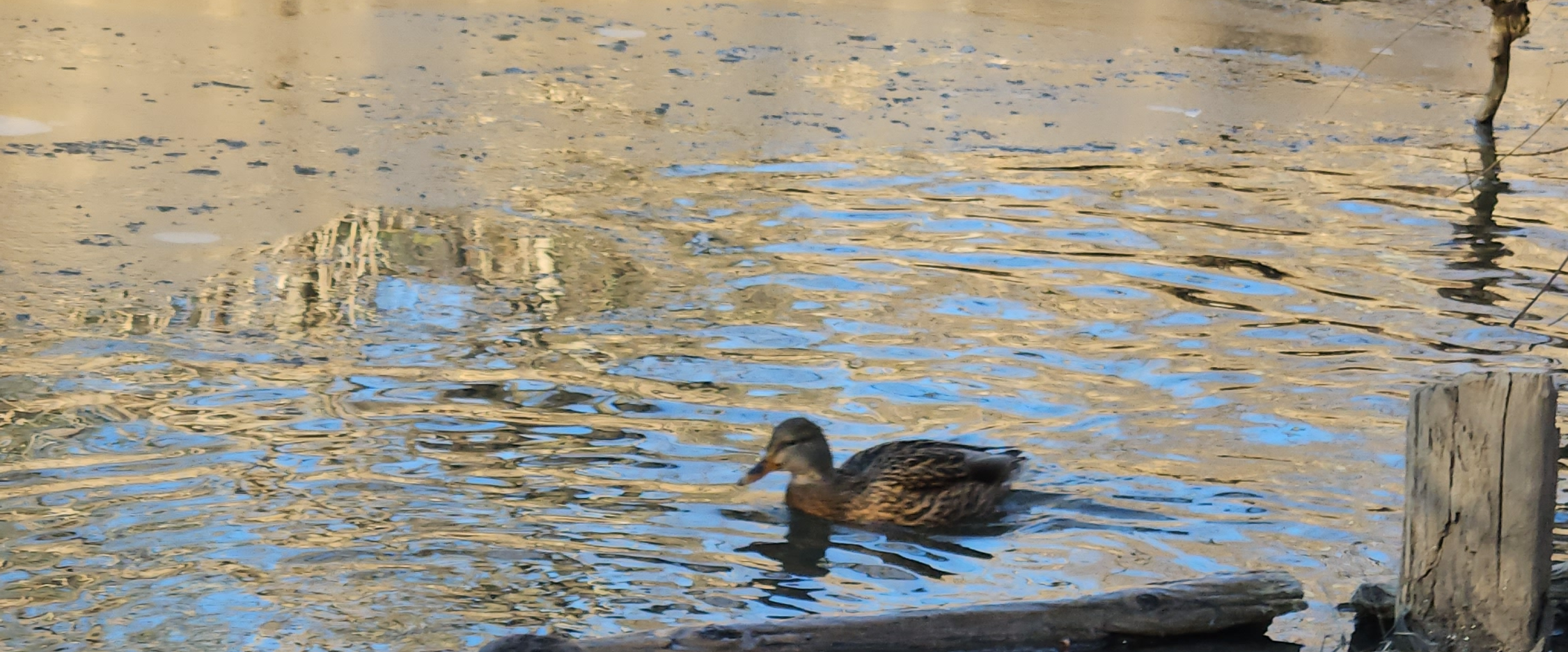 challenge background