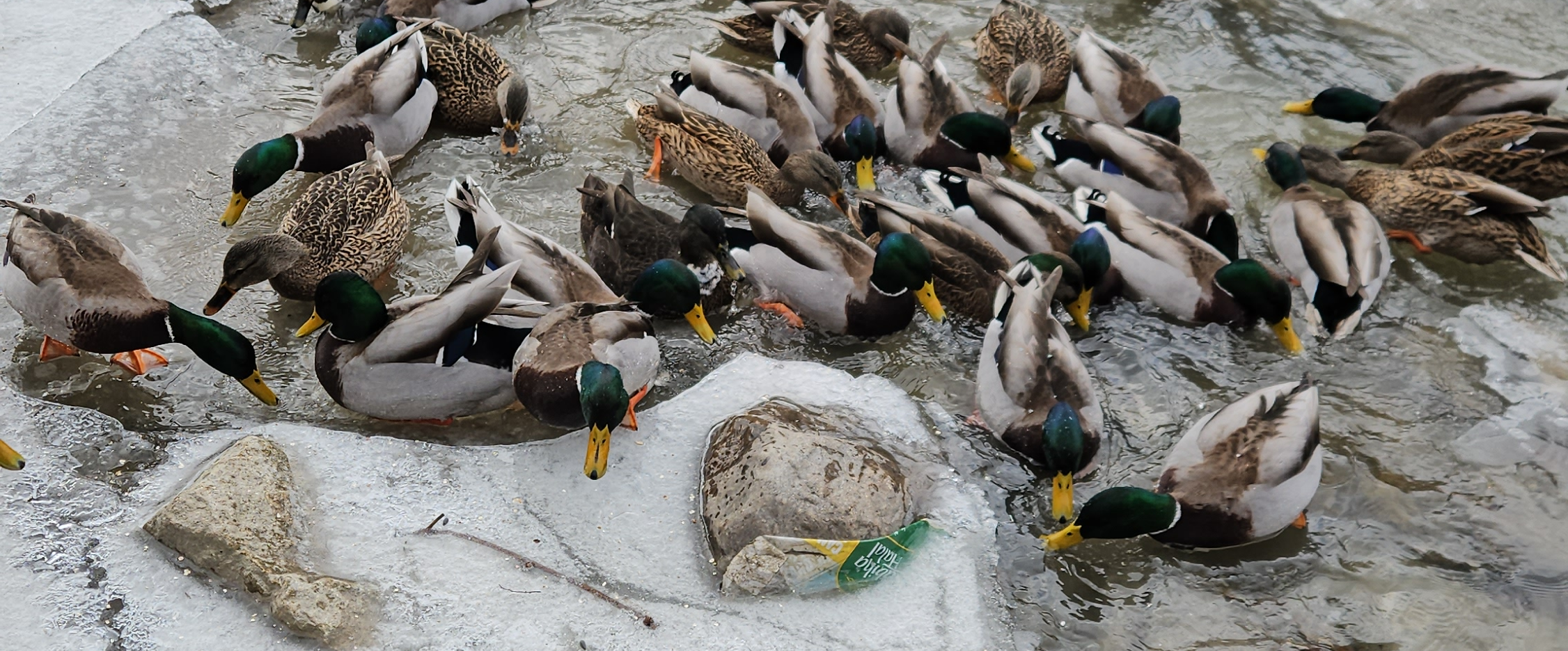 challenge background