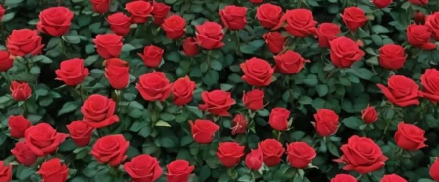 challenge background