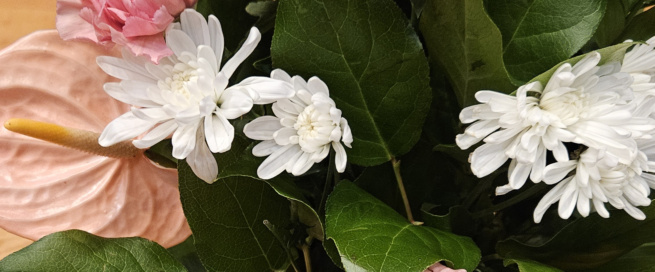 challenge background