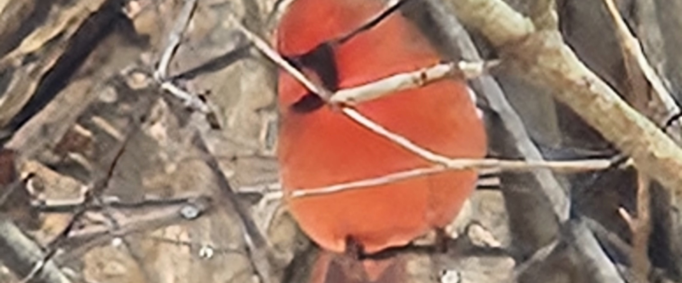 challenge background