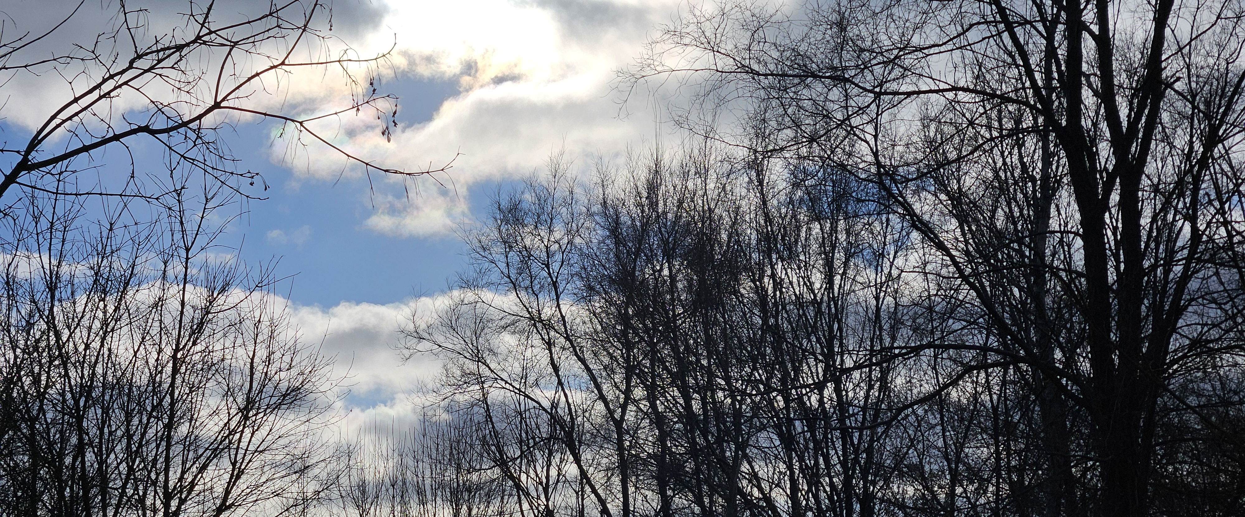 challenge background