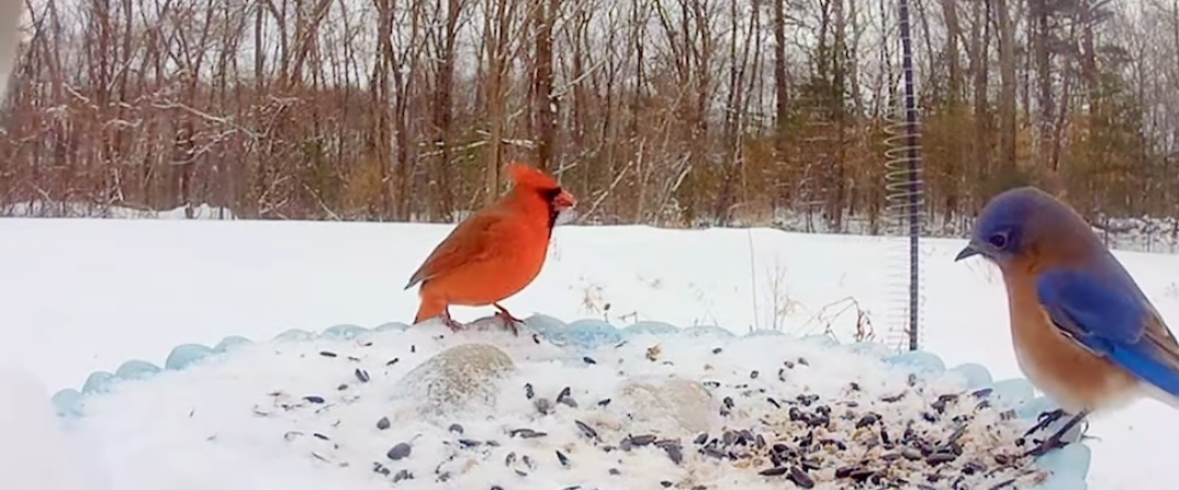 challenge background