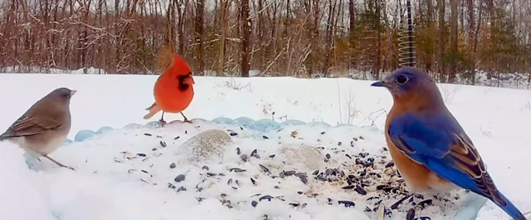 challenge background