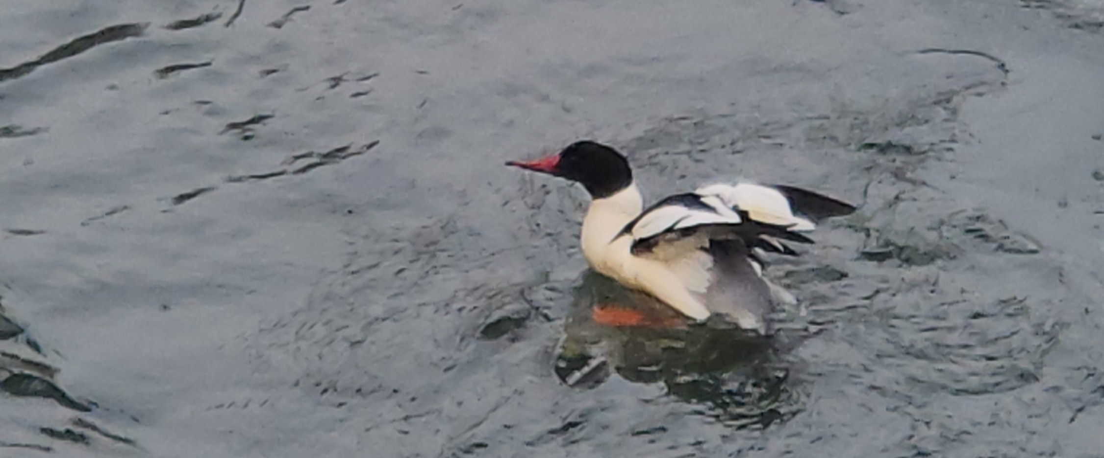 challenge background