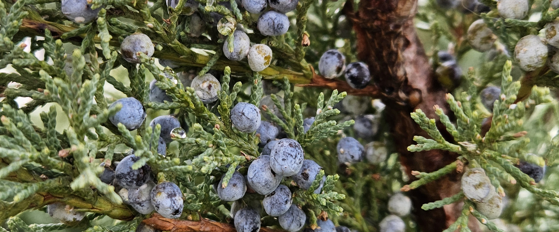 challenge background