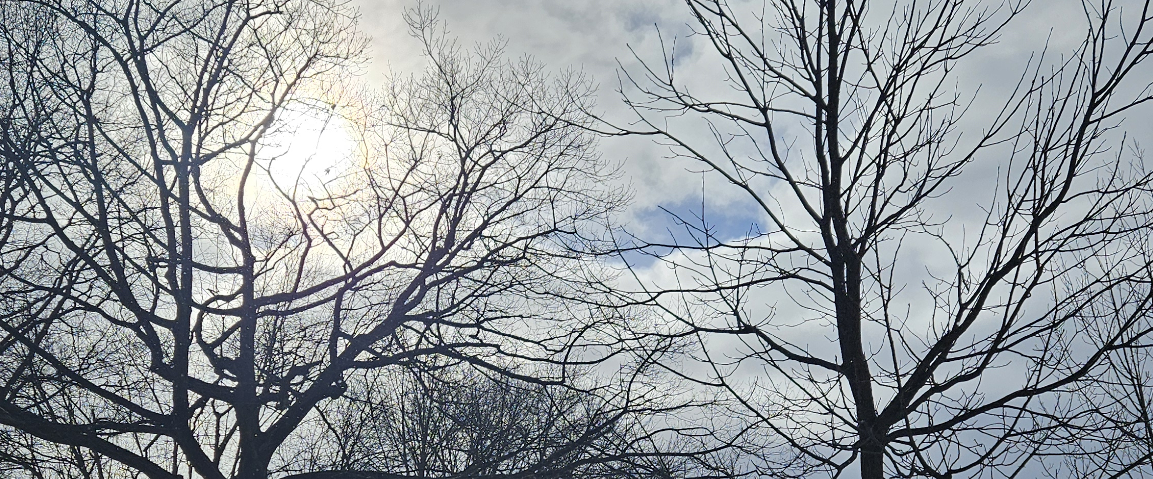 challenge background