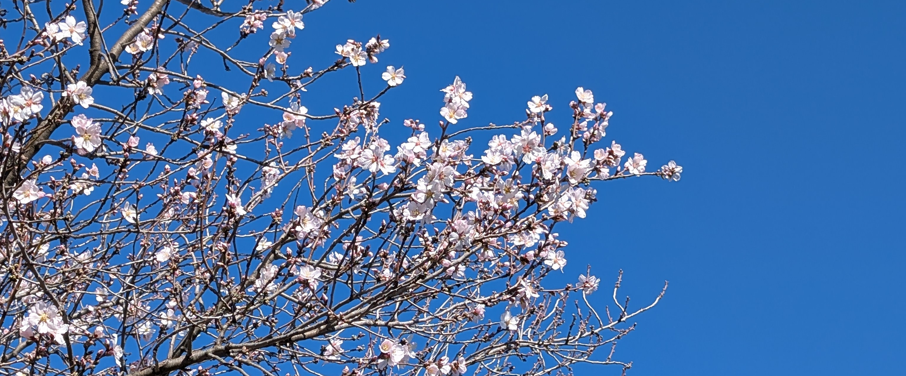 challenge background