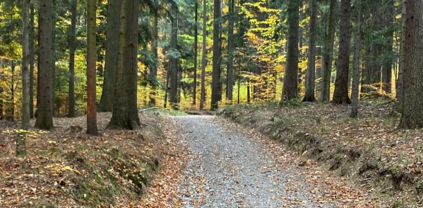 challenge background