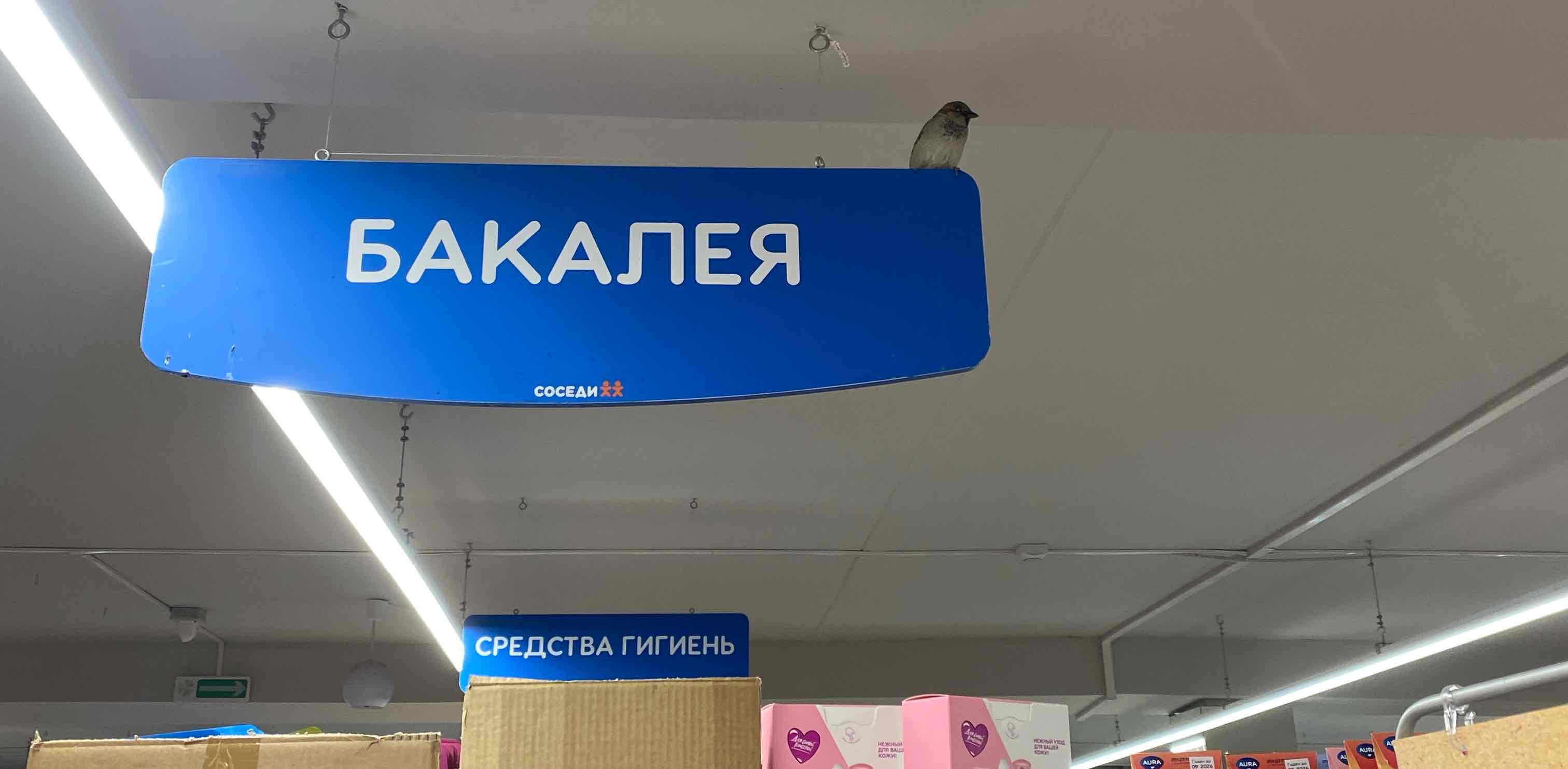 challenge background