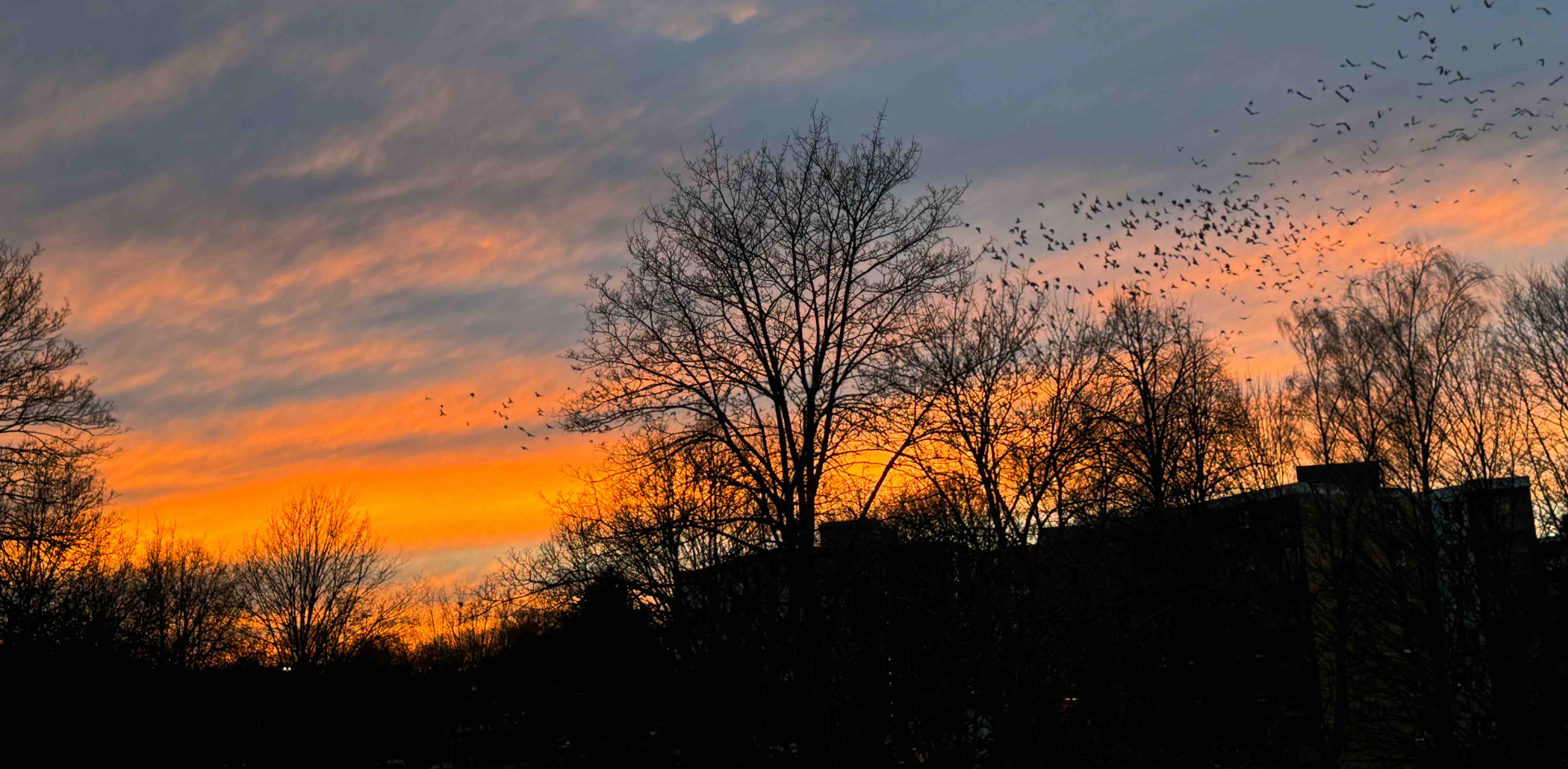 challenge background