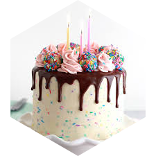 💛February Birthday Celebration 🍰 icon