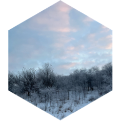 8000 Steps per day icon