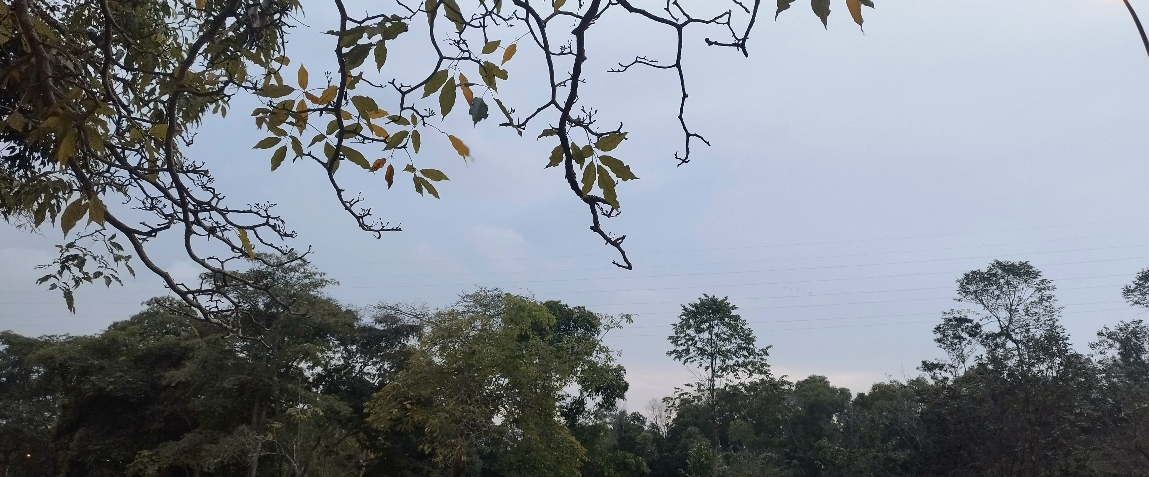 challenge background