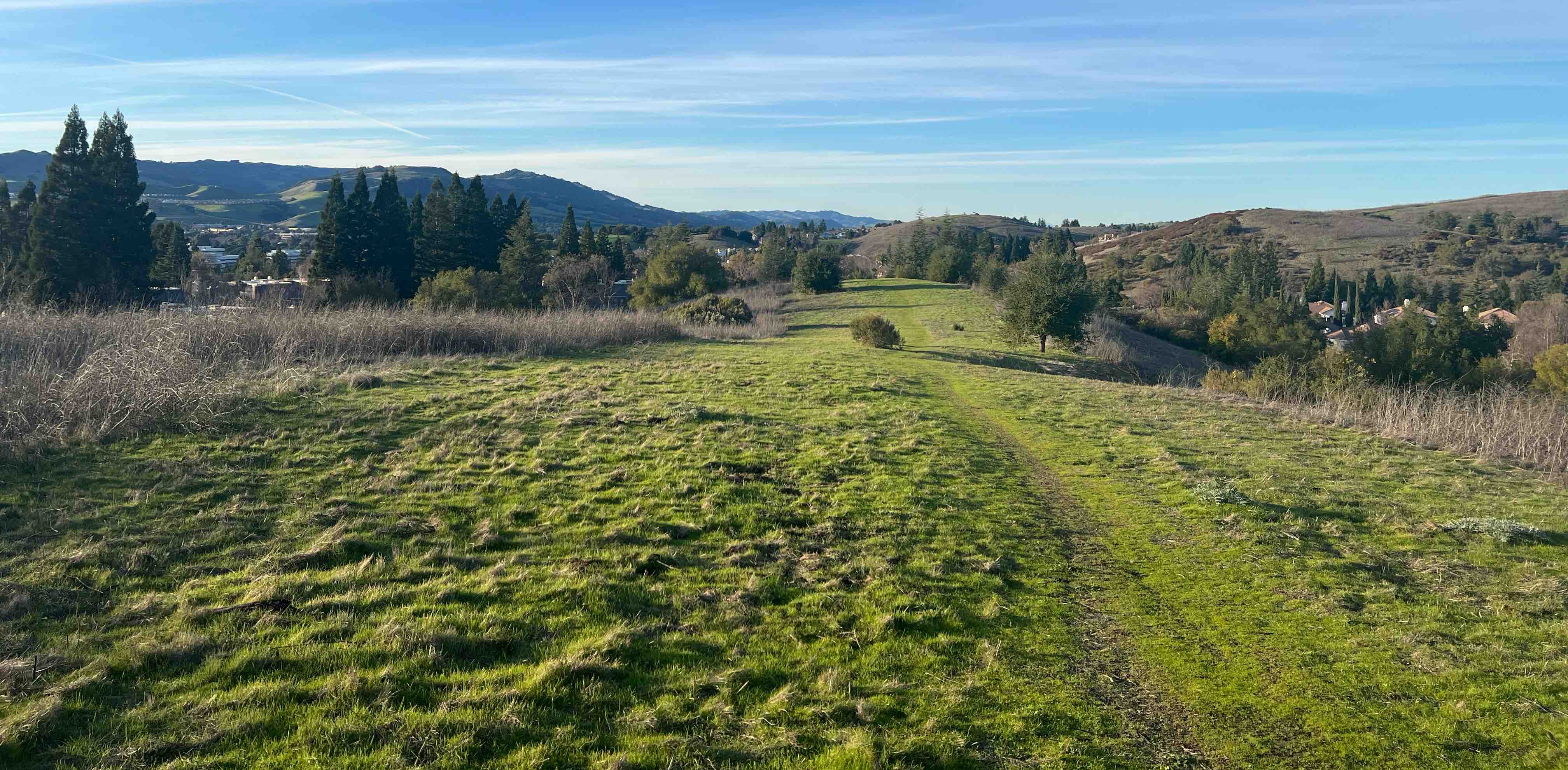 challenge background