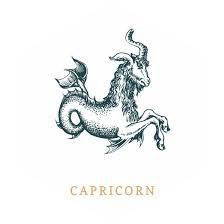 π 15 000 π CAPRICORNE π icon