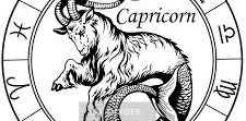 π 15 000 π CAPRICORNE π logo
