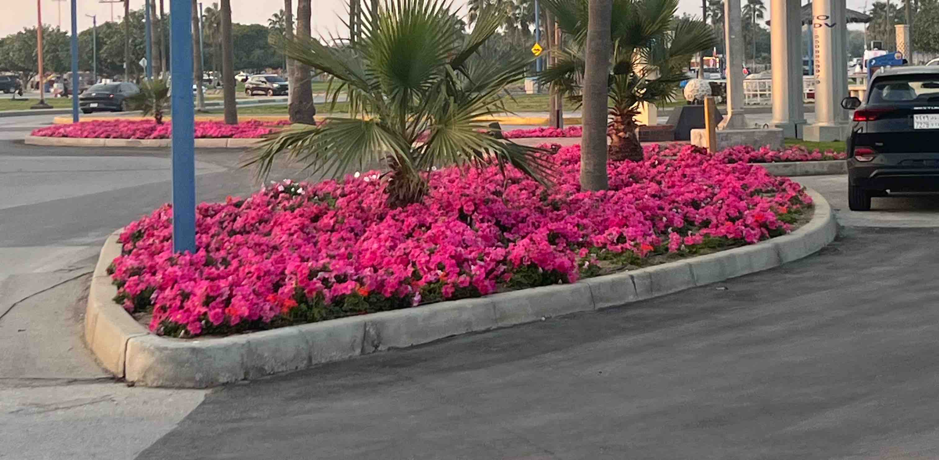 challenge background