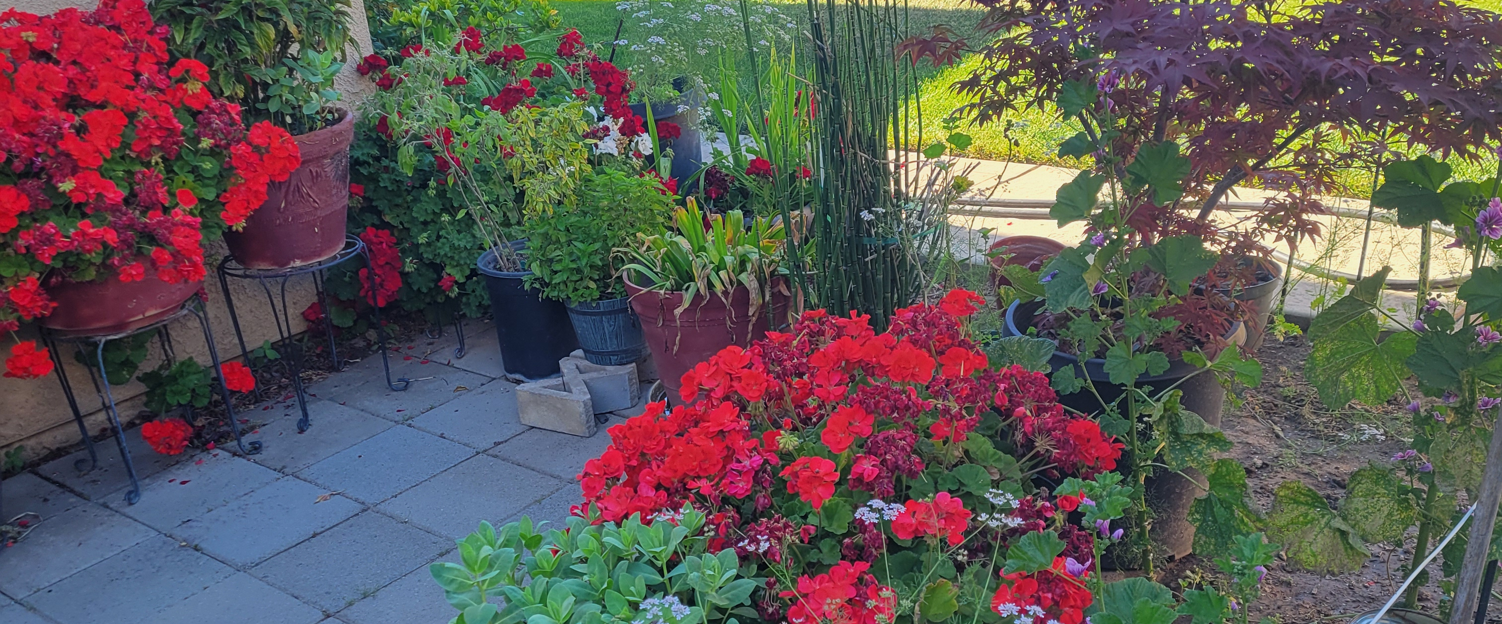 challenge background