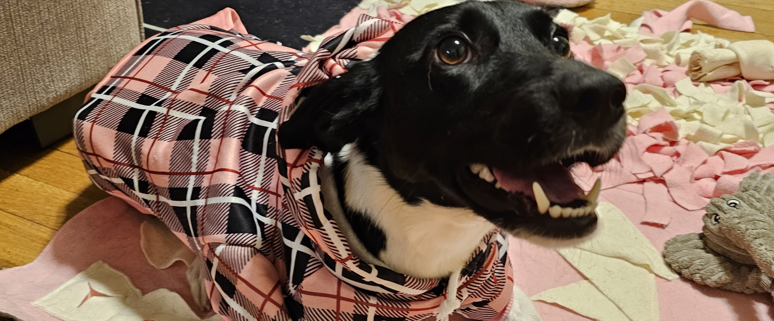 challenge background