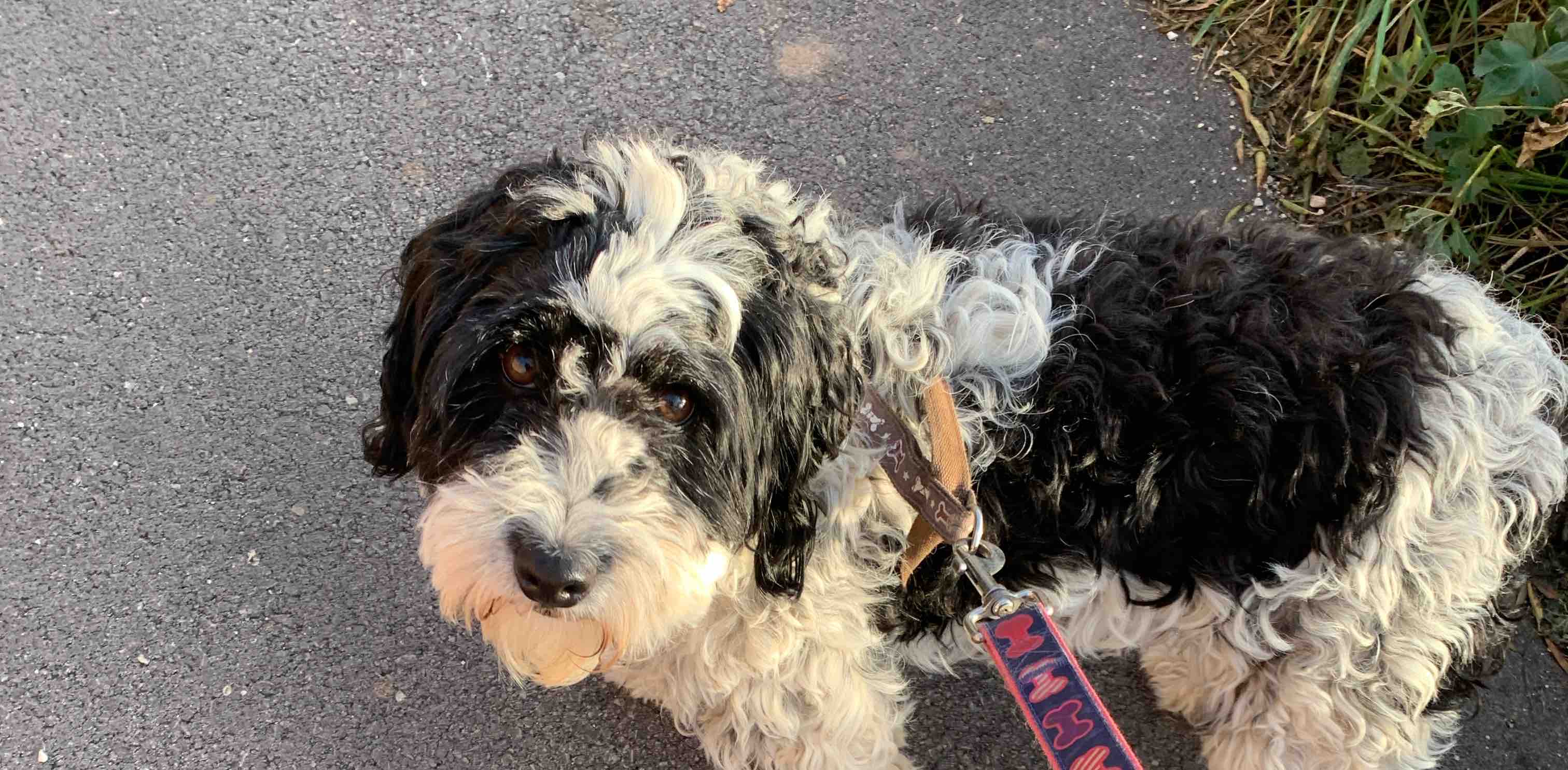 challenge background