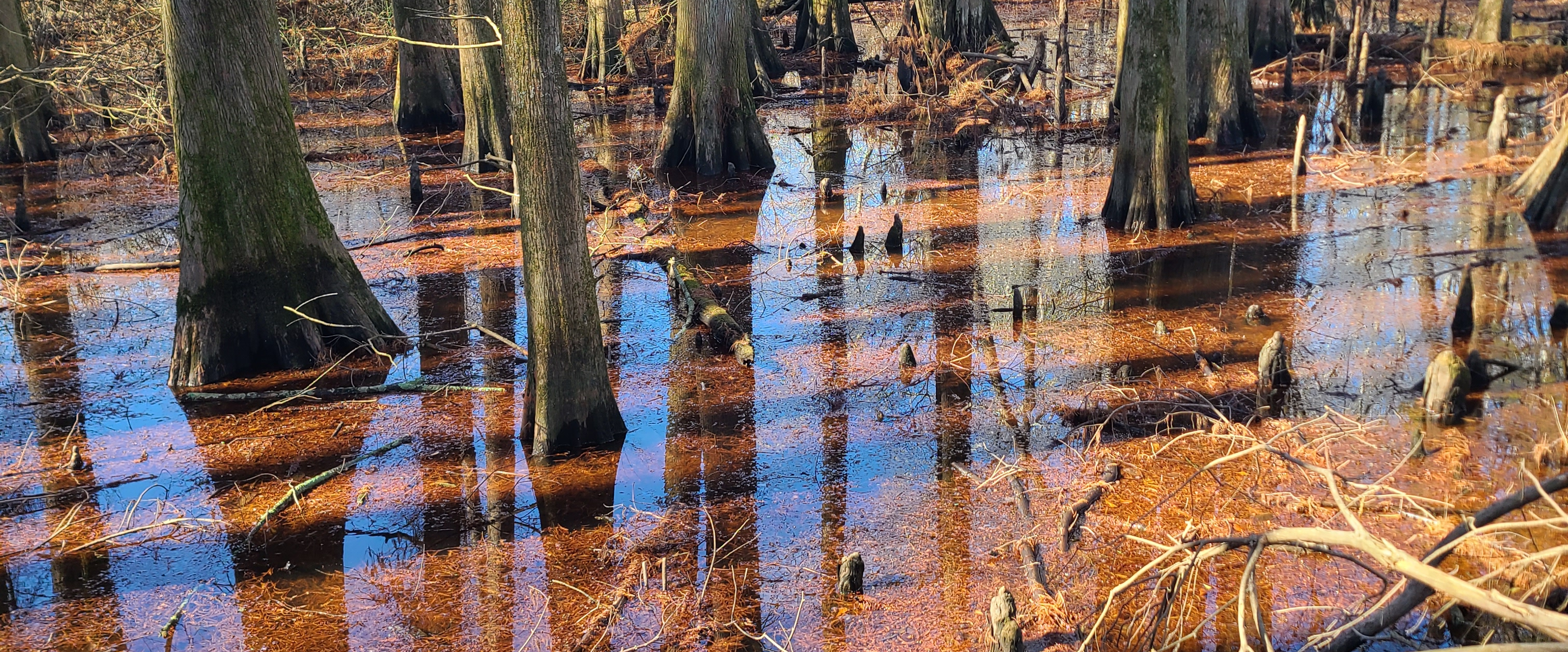 challenge background