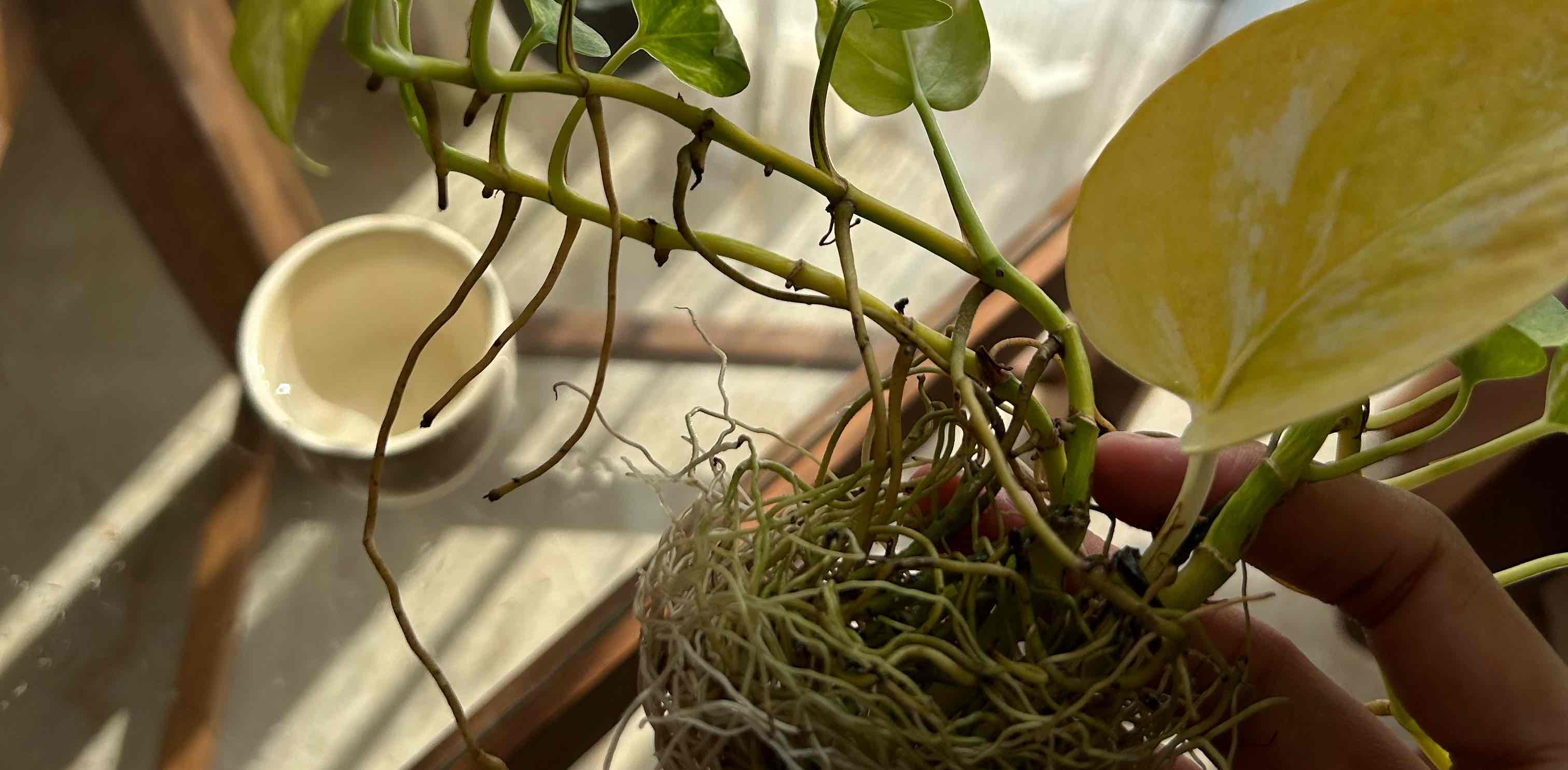 challenge background