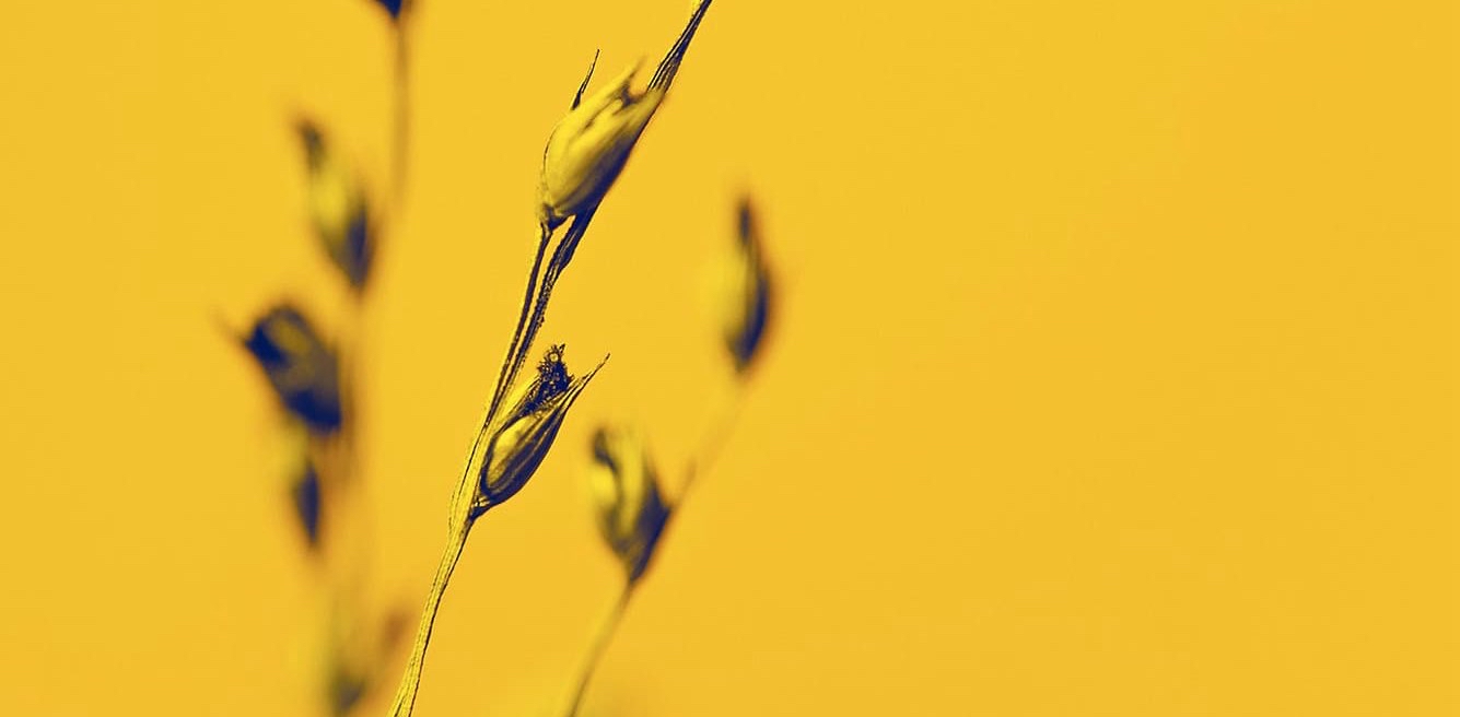 challenge background