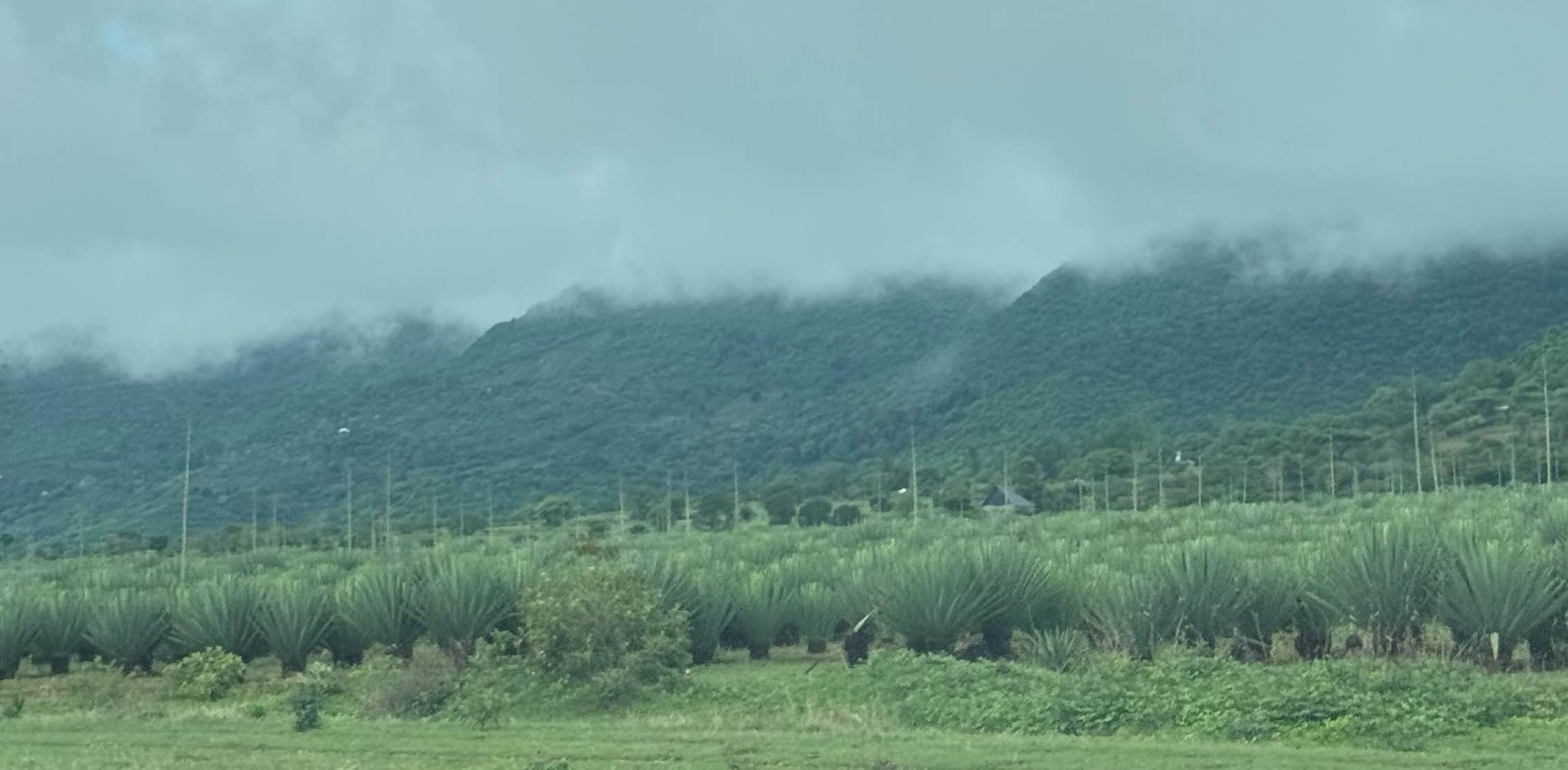 challenge background