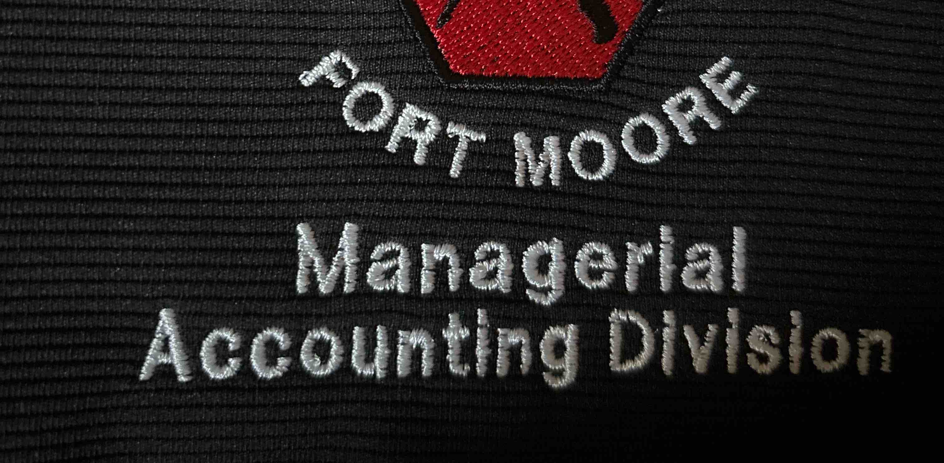 Stepping into Spring logo