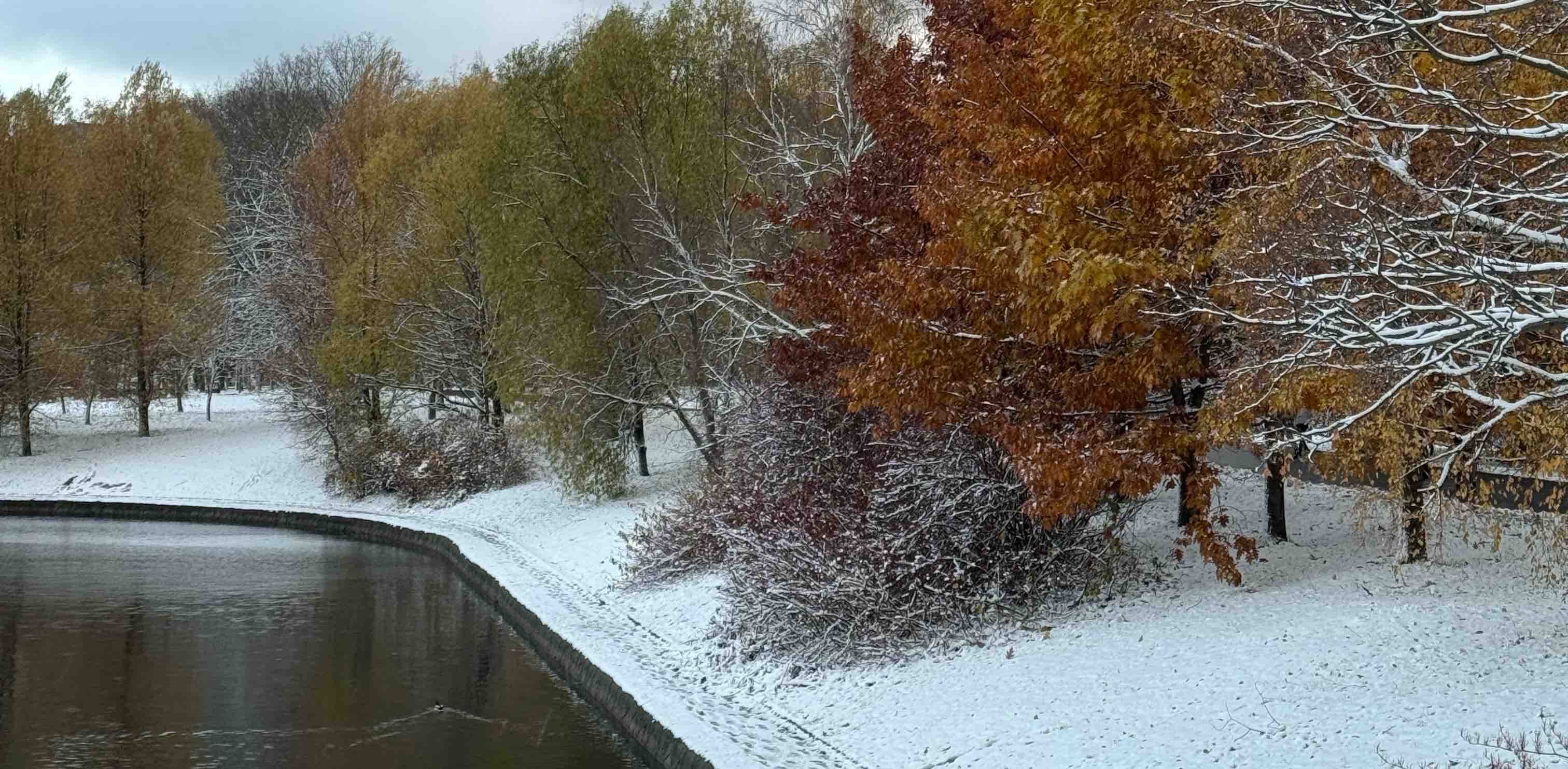 challenge background